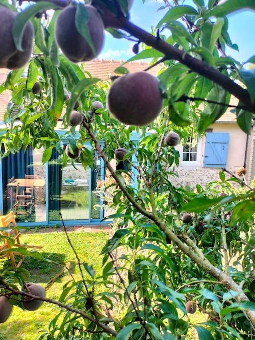 Charmante Maisonnette En Pierre Écardenville-sur-Eure Exterior foto